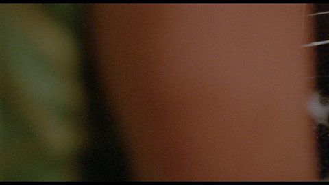 Christine Moore Nude Naked Pics And Sex Scenes At Mr Skin