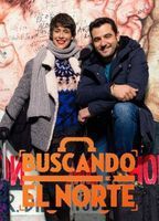 Buscando el norte