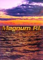 magnum-p-i-e2b199e9_boxcover.jpg?1537885863