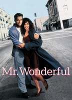 Mr. Wonderful