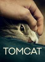 Tomcat