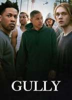 Gully