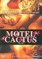Motel Cactus