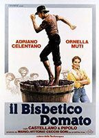 Il bisbetico domato