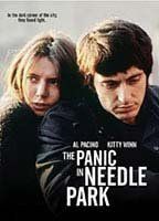 The Panic in Needle Park