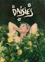 Daisies
